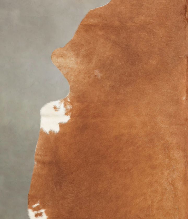 Brown and White Regular XX-Large Brazilian Cowhide Rug 7'11"H x 7'4"W #B2963 by Hudson Hides