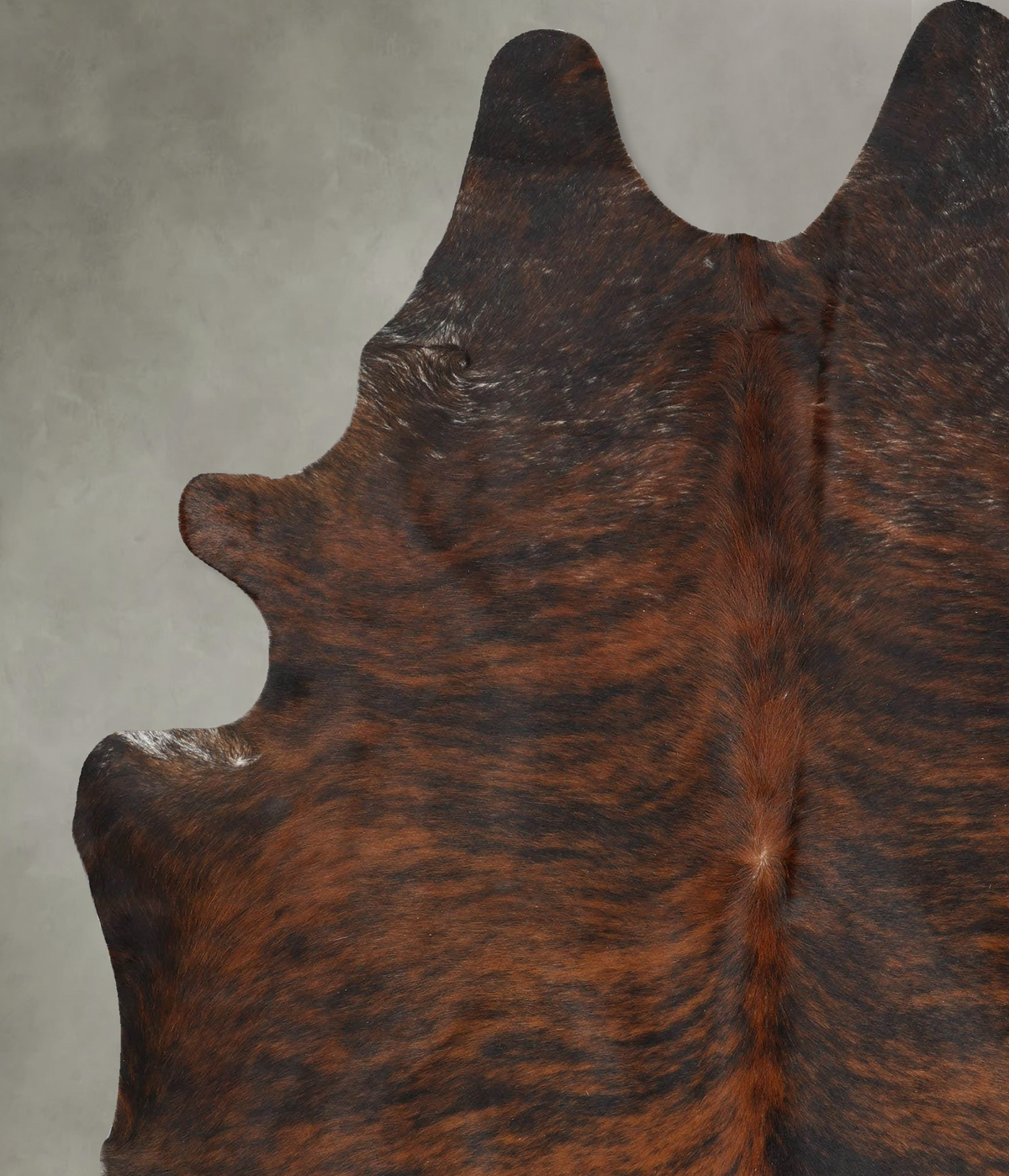 Dark Brindle XX-Large Brazilian Cowhide Rug 8'0"H x 6'5"W #B29635 by Hudson Hides