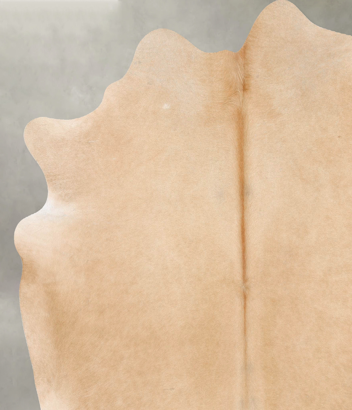 Beige X-Large Brazilian Cowhide Rug 7'1"H x 6'11"W #B29639 by Hudson Hides