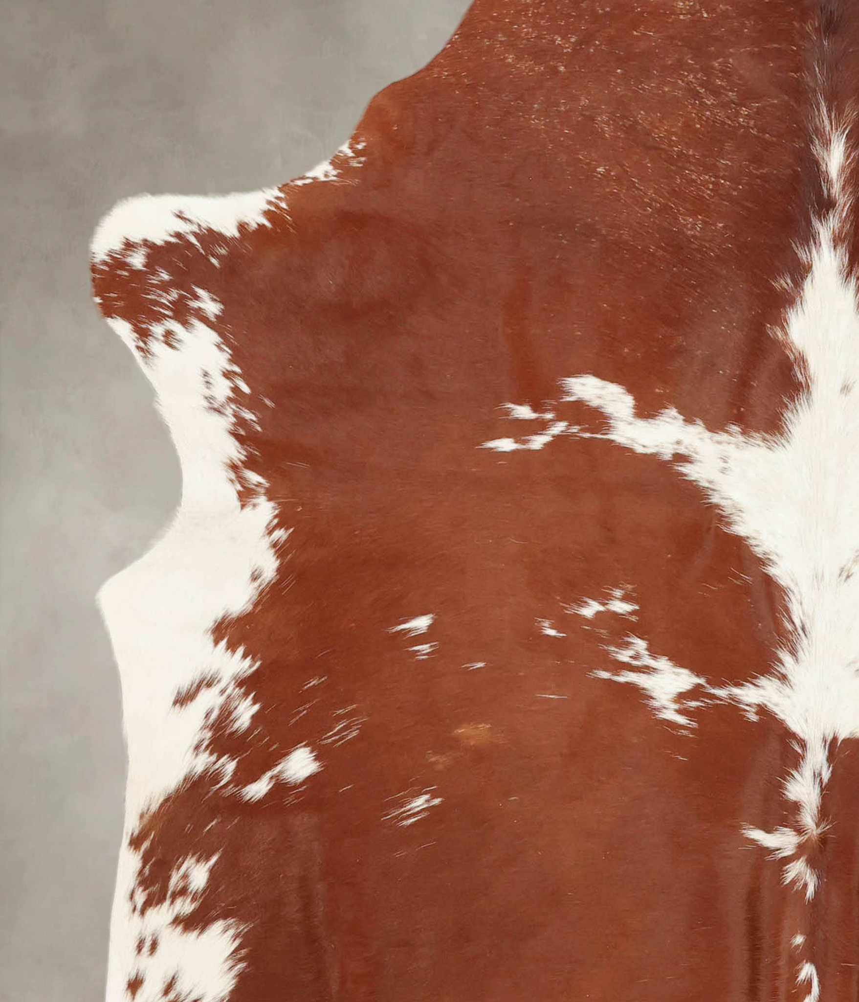 Brown and White Cowhide Rug #B2964