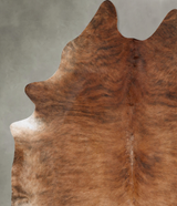 Medium Brindle XX-Large Brazilian Cowhide Rug 9'4"H x 7'4"W #B29641 by Hudson Hides