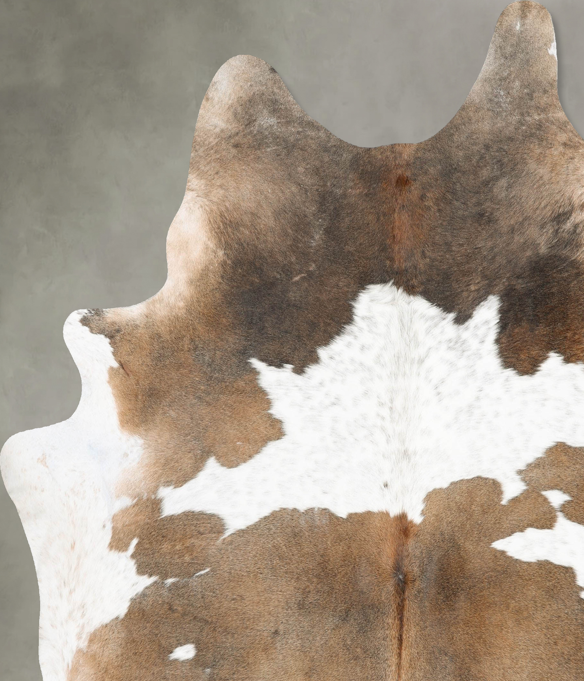Chocolate and White XX-Large Brazilian Cowhide Rug 8'9"H x 7'2"W #B29643 by Hudson Hides