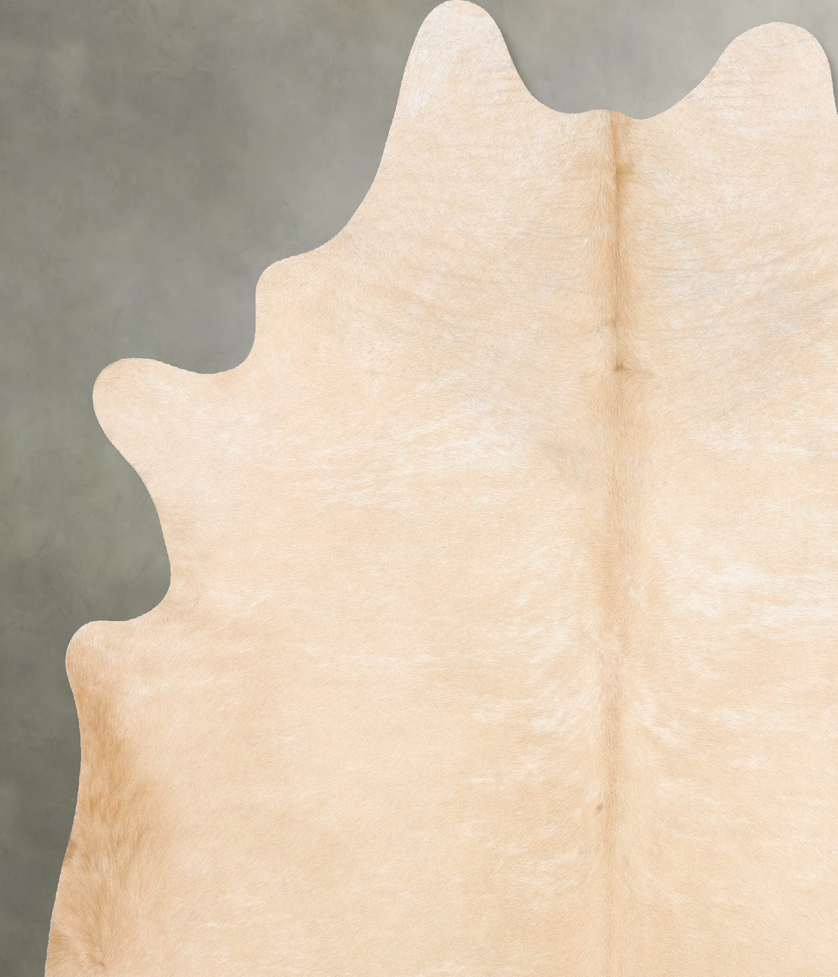 Palomino XX-Large Brazilian Cowhide Rug 8'10"H x 6'11"W #B29644 by Hudson Hides