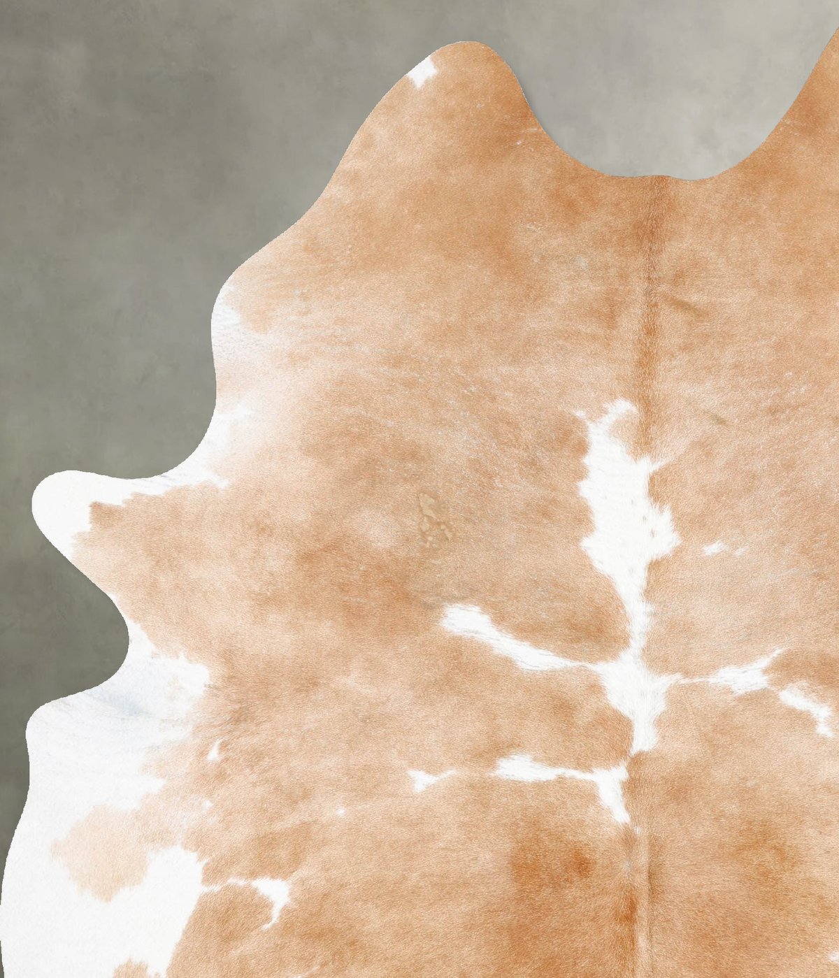 Beige and White X-Large Brazilian Cowhide Rug 8'3"H x 5'10"W #B29647 by Hudson Hides