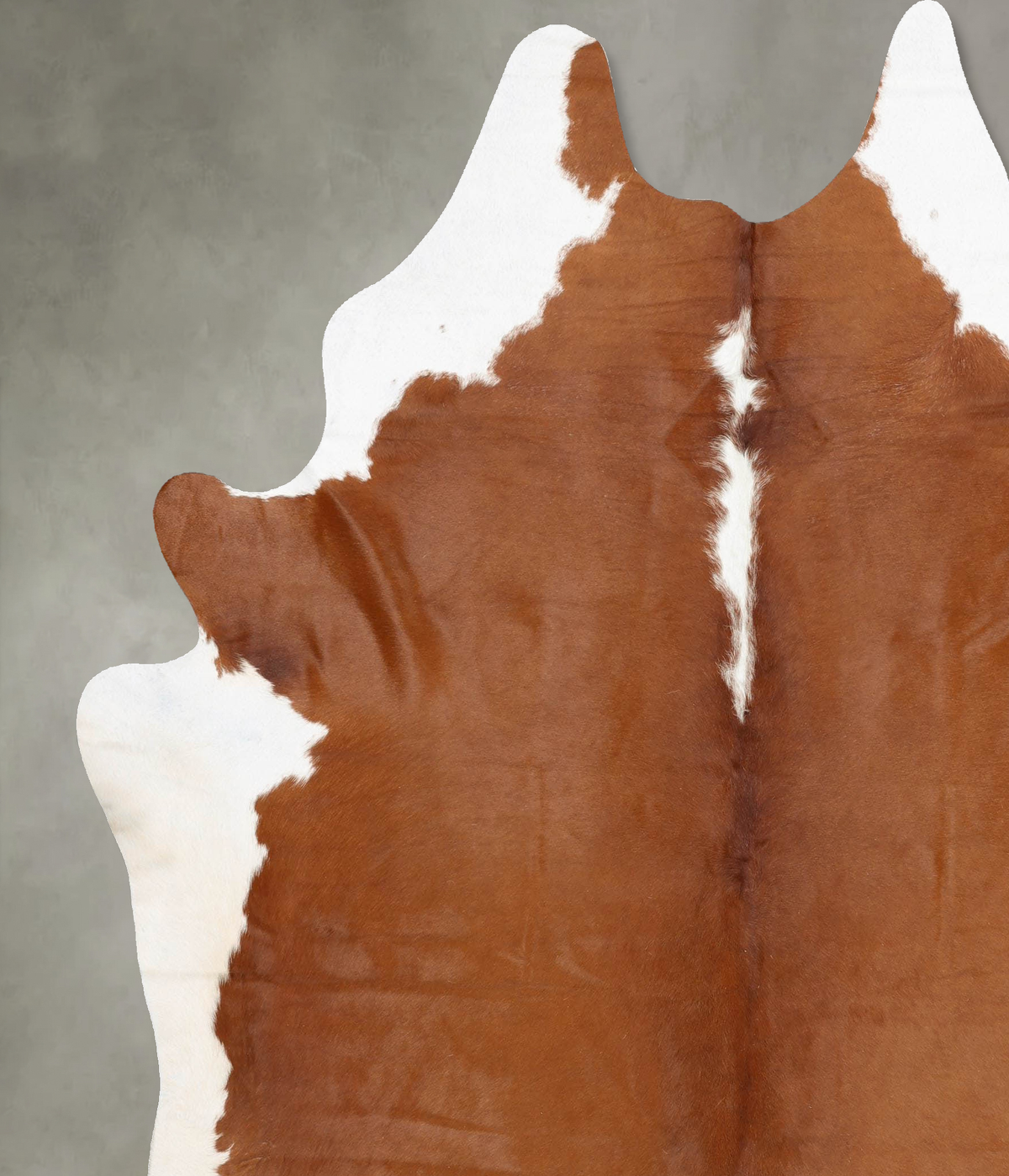 Hereford XX-Large Brazilian Cowhide Rug 8'3"H x 7'0"W #B29653 by Hudson Hides