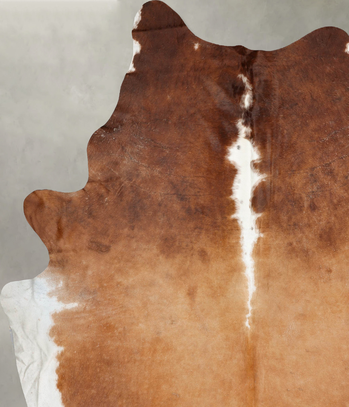 Brown and White Regular XX-Large Brazilian Cowhide Rug 10'1"H x 7'11"W #B29665 by Hudson Hides