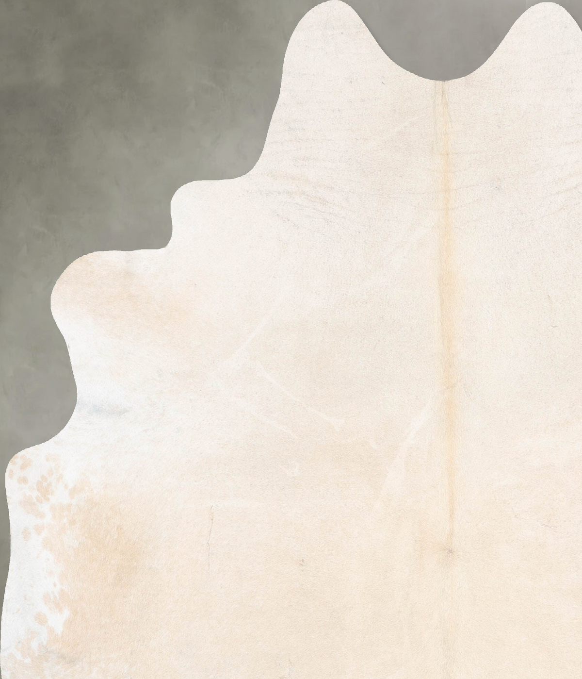 Palomino XX-Large Brazilian Cowhide Rug 8'6"H x 6'7"W #B29666 by Hudson Hides