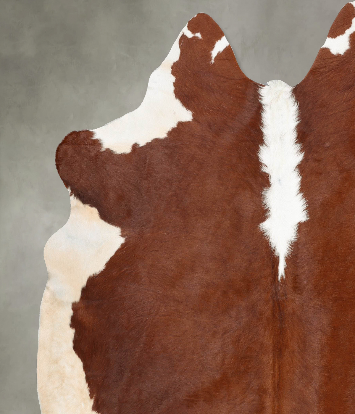 Hereford XX-Large Brazilian Cowhide Rug 7'8"H x 7'1"W #B29669 by Hudson Hides