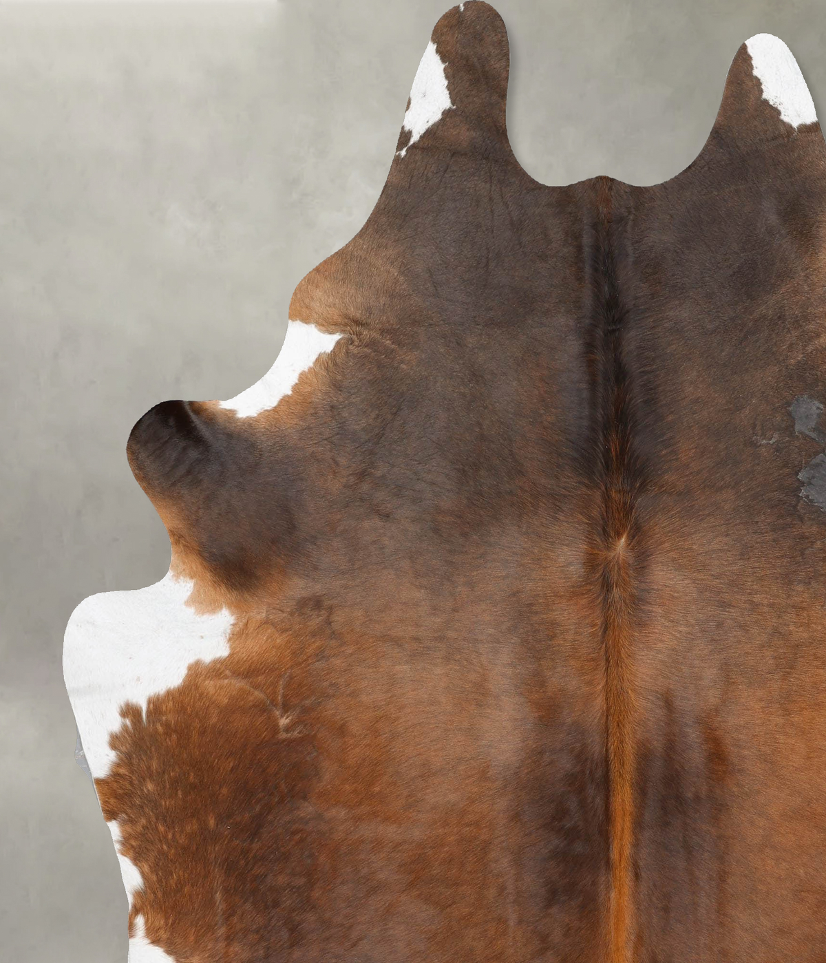 Warm Caramel XX-Large Brazilian Cowhide Rug 8'2"H x 6'9"W #B29681 by Hudson Hides