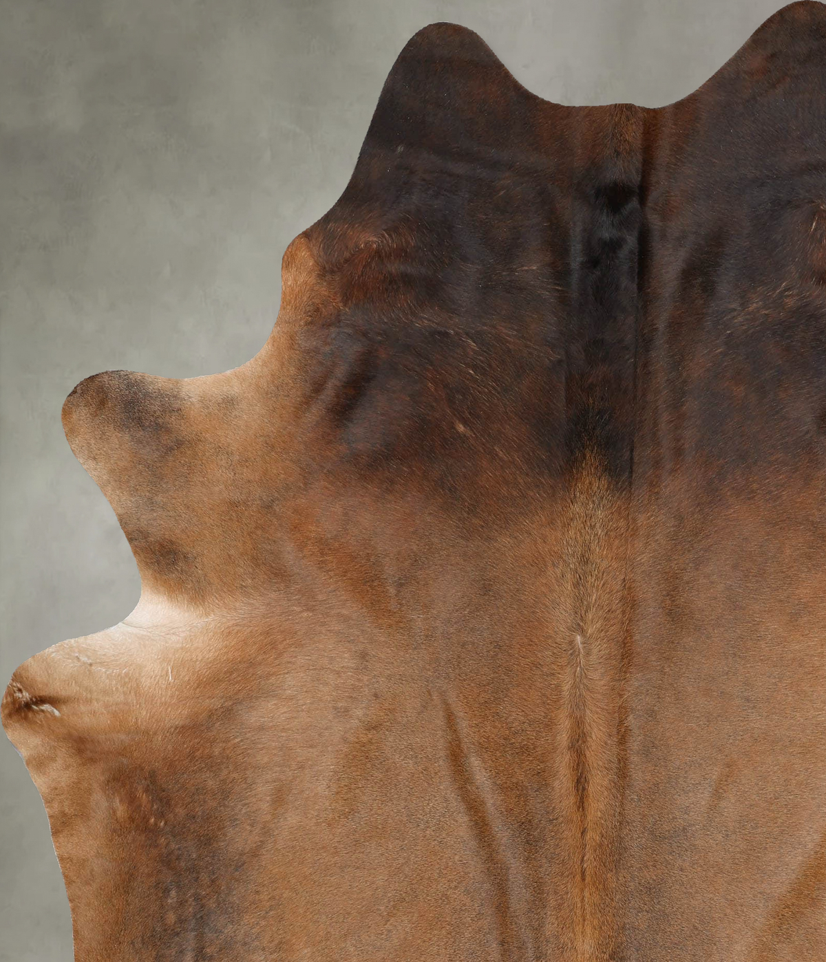 Warm Caramel X-Large Brazilian Cowhide Rug 7'10"H x 6'3"W #B29682 by Hudson Hides