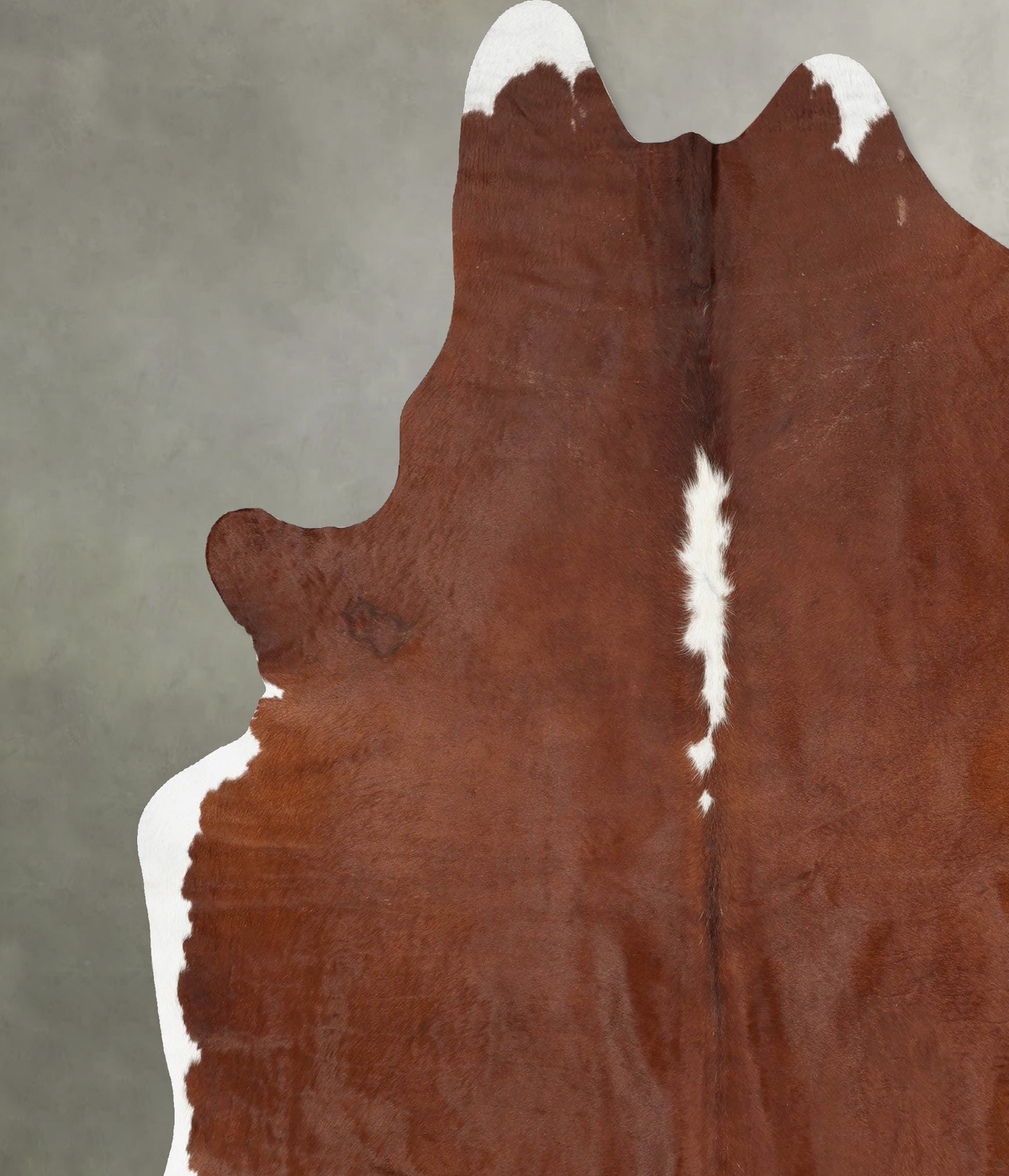 Brown and White Regular XX-Large Brazilian Cowhide Rug 8'10"H x 7'7"W #B29683 by Hudson Hides