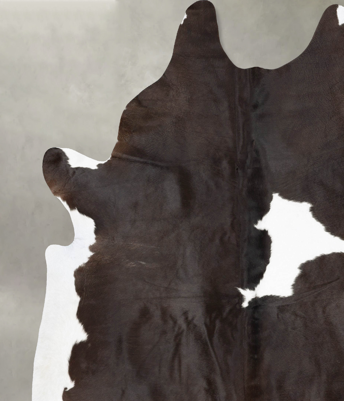 Chocolate and White XX-Large Brazilian Cowhide Rug 8'8"H x 7'4"W #B29685 by Hudson Hides
