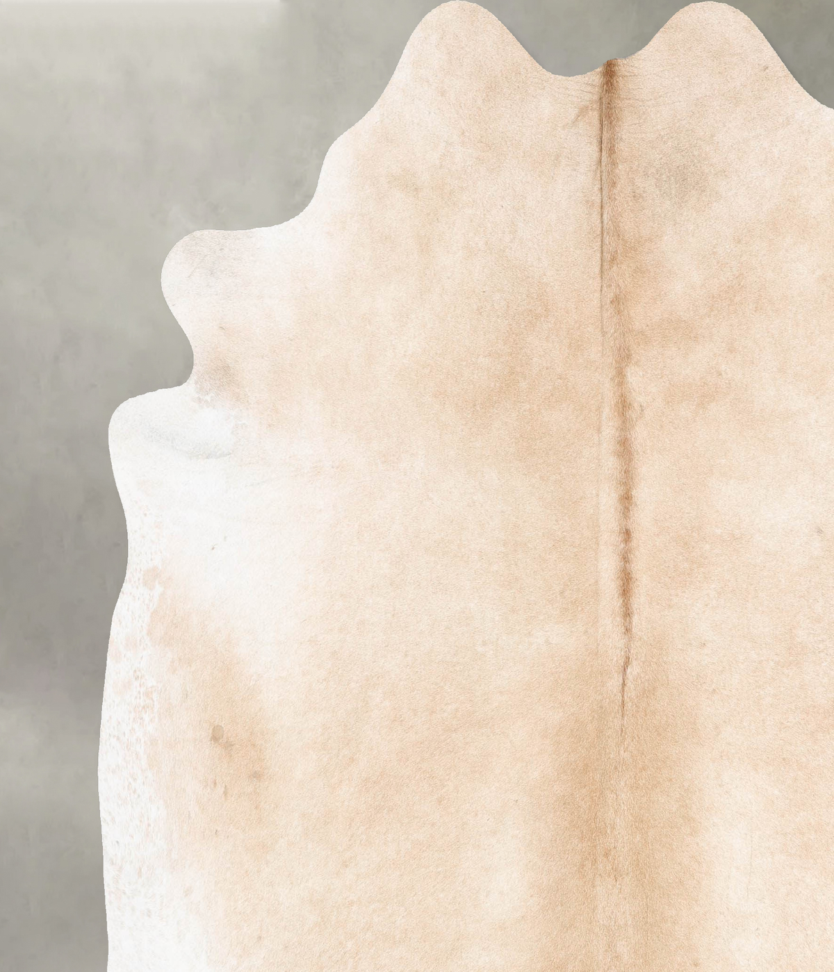 Palomino XX-Large Brazilian Cowhide Rug 7'6"H x 7'0"W #B29692 by Hudson Hides