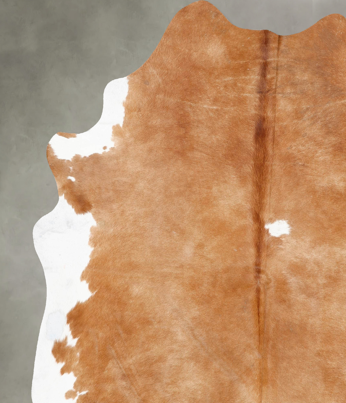 Beige and White XX-Large Brazilian Cowhide Rug 8'2"H x 6'8"W #B29695 by Hudson Hides