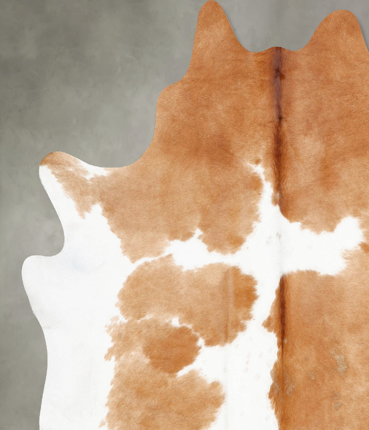 Beige and White X-Large Brazilian Cowhide Rug 7'3"H x 6'8"W #B29698 by Hudson Hides