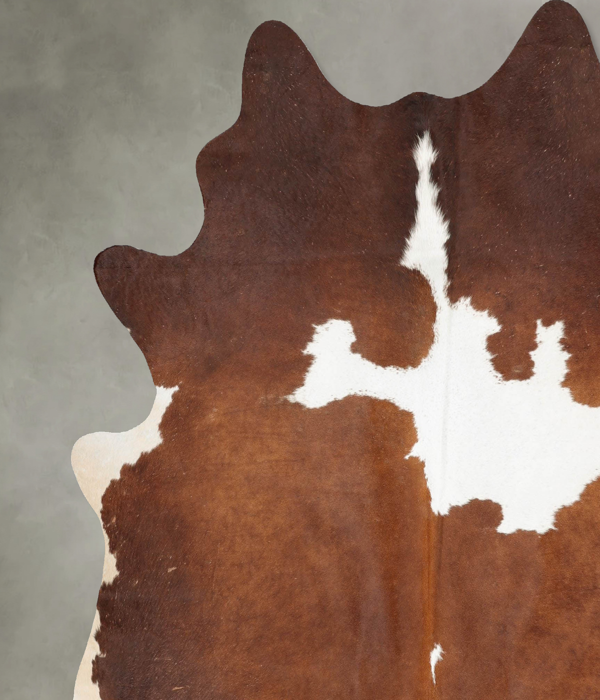 Chocolate and White XX-Large Brazilian Cowhide Rug 7'9"H x 6'9"W #B29699 by Hudson Hides