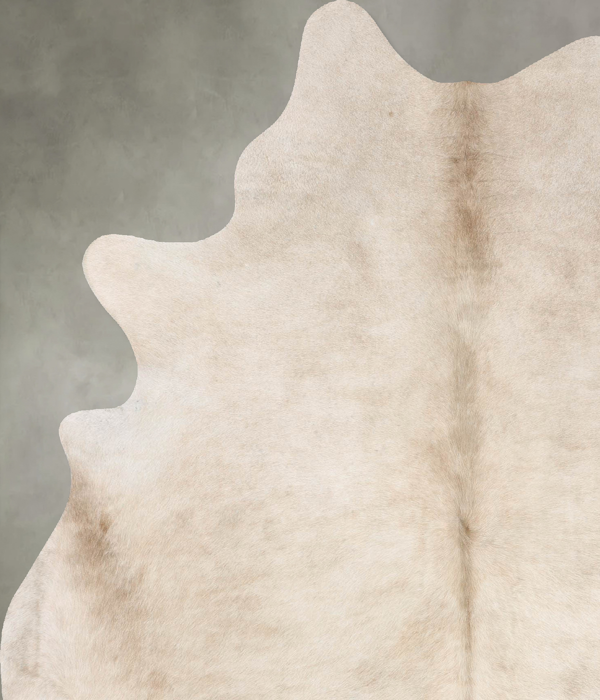 Champagne X-Large Brazilian Cowhide Rug 7'3"H x 5'9"W #B29706 by Hudson Hides