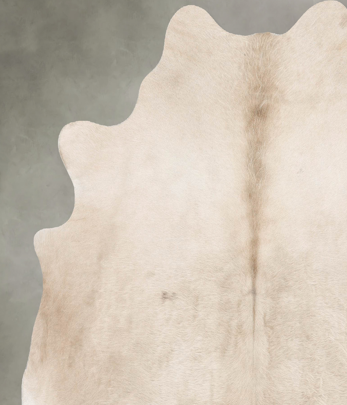 Champagne X-Large Brazilian Cowhide Rug 6'8"H x 6'0"W #B29709 by Hudson Hides