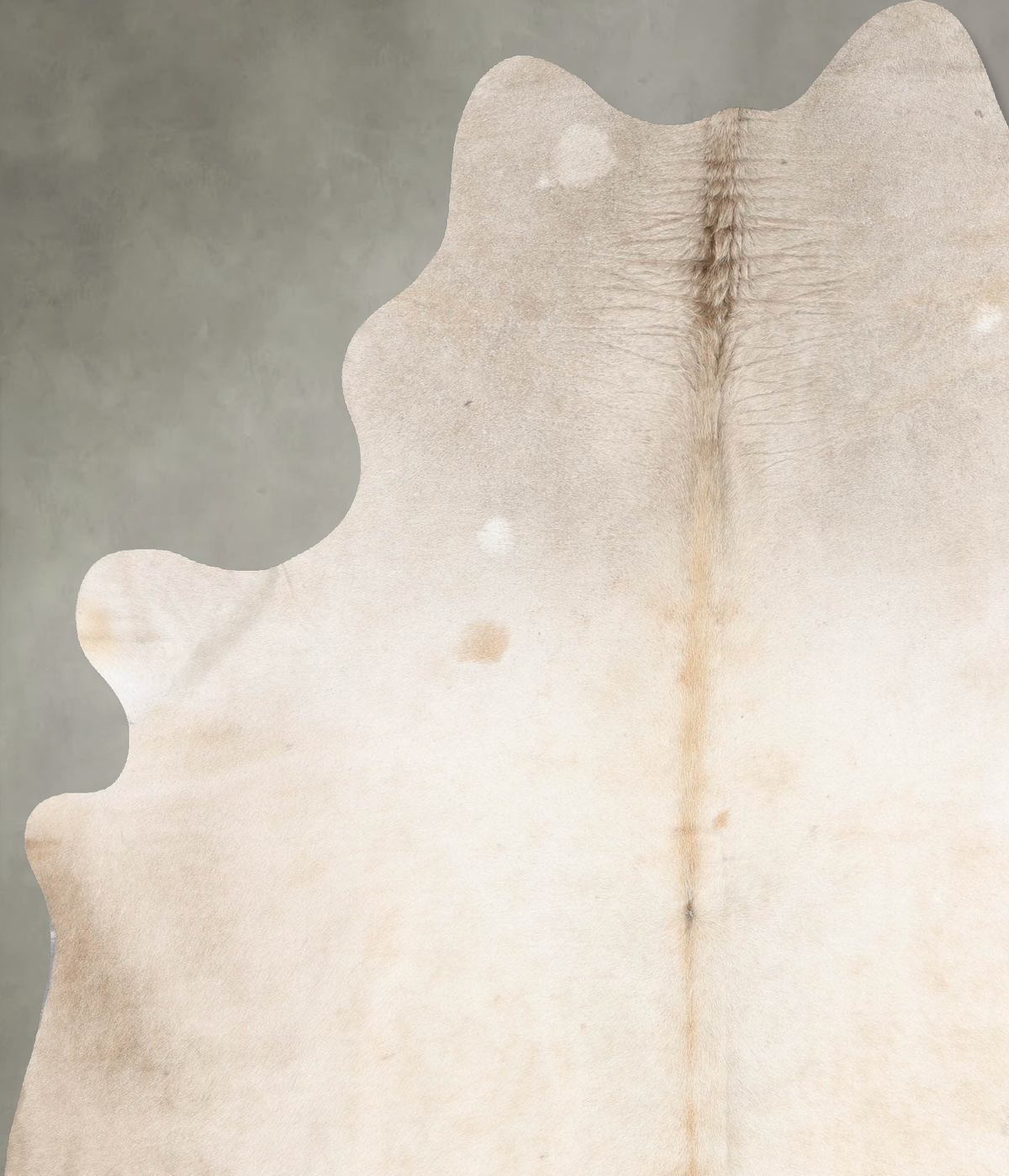 Champagne XX-Large Brazilian Cowhide Rug 8'4"H x 6'9"W #B29712 by Hudson Hides