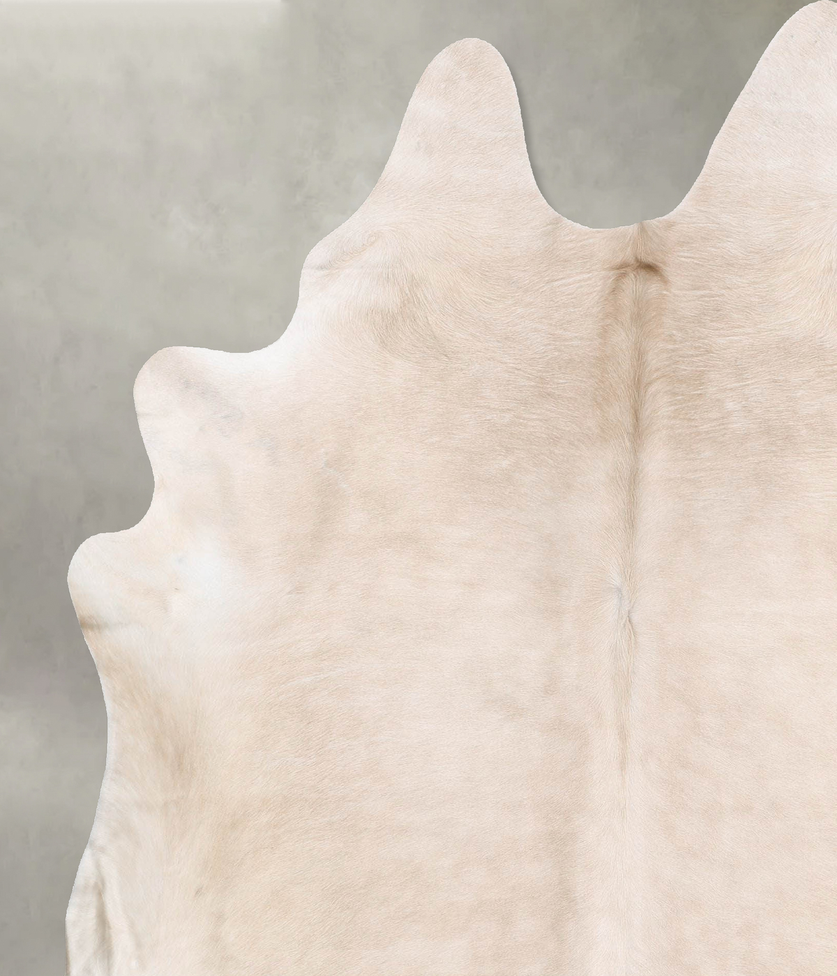 Champagne X-Large Brazilian Cowhide Rug 7'10"H x 6'4"W #B29713 by Hudson Hides