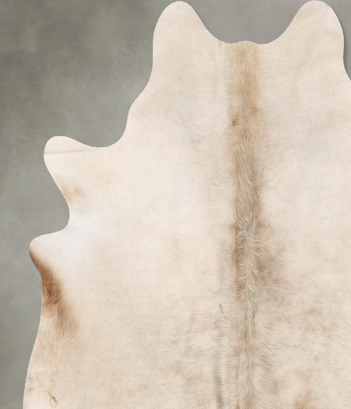 Champagne X-Large Brazilian Cowhide Rug 7'1"H x 6'2"W #B29719 by Hudson Hides