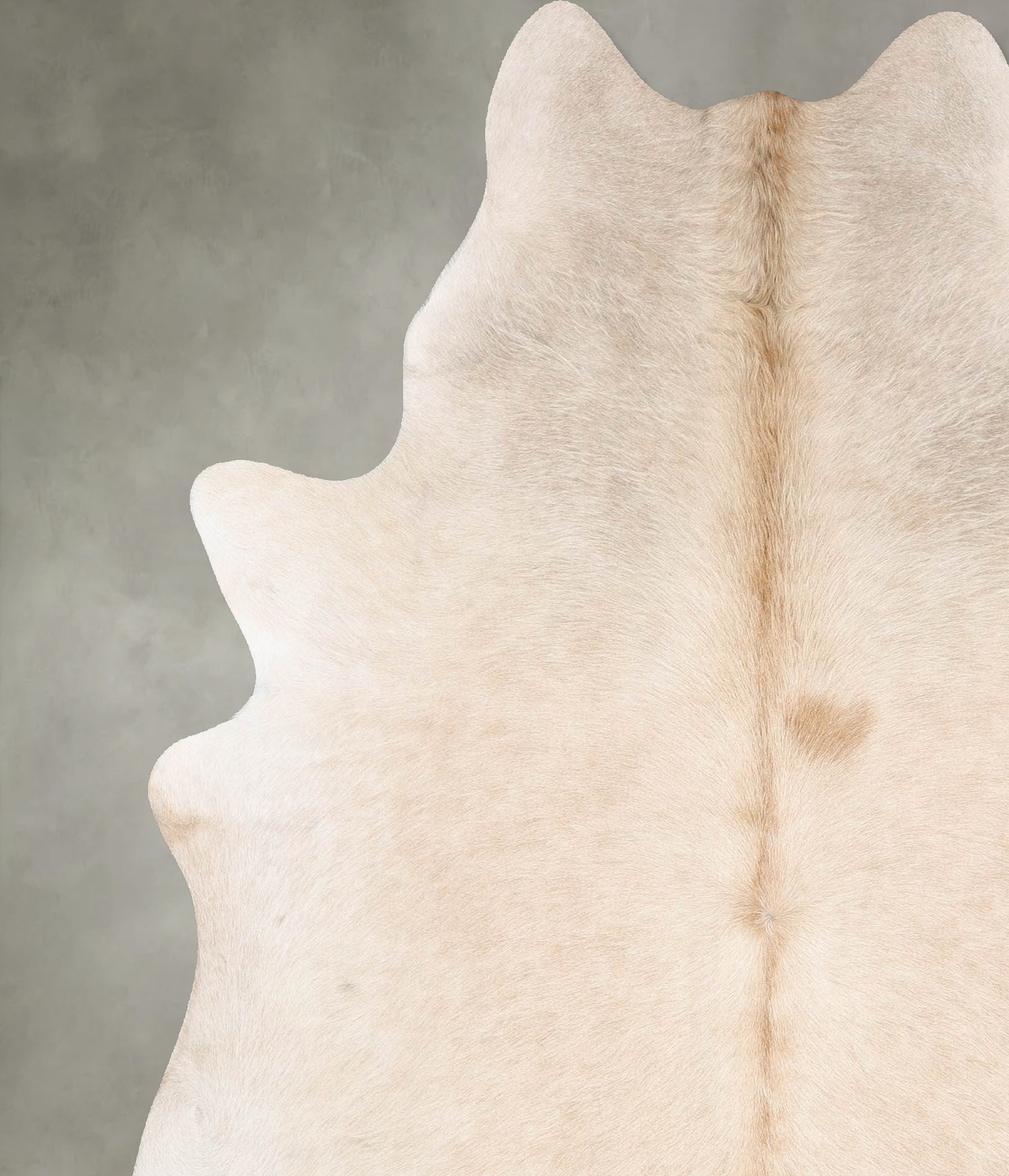 Champagne Cowhide Rug #B29724