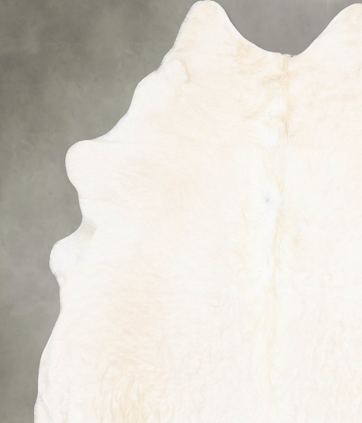 Champagne XX-Large Brazilian Cowhide Rug 8'0"H x 6'7"W #B29734 by Hudson Hides