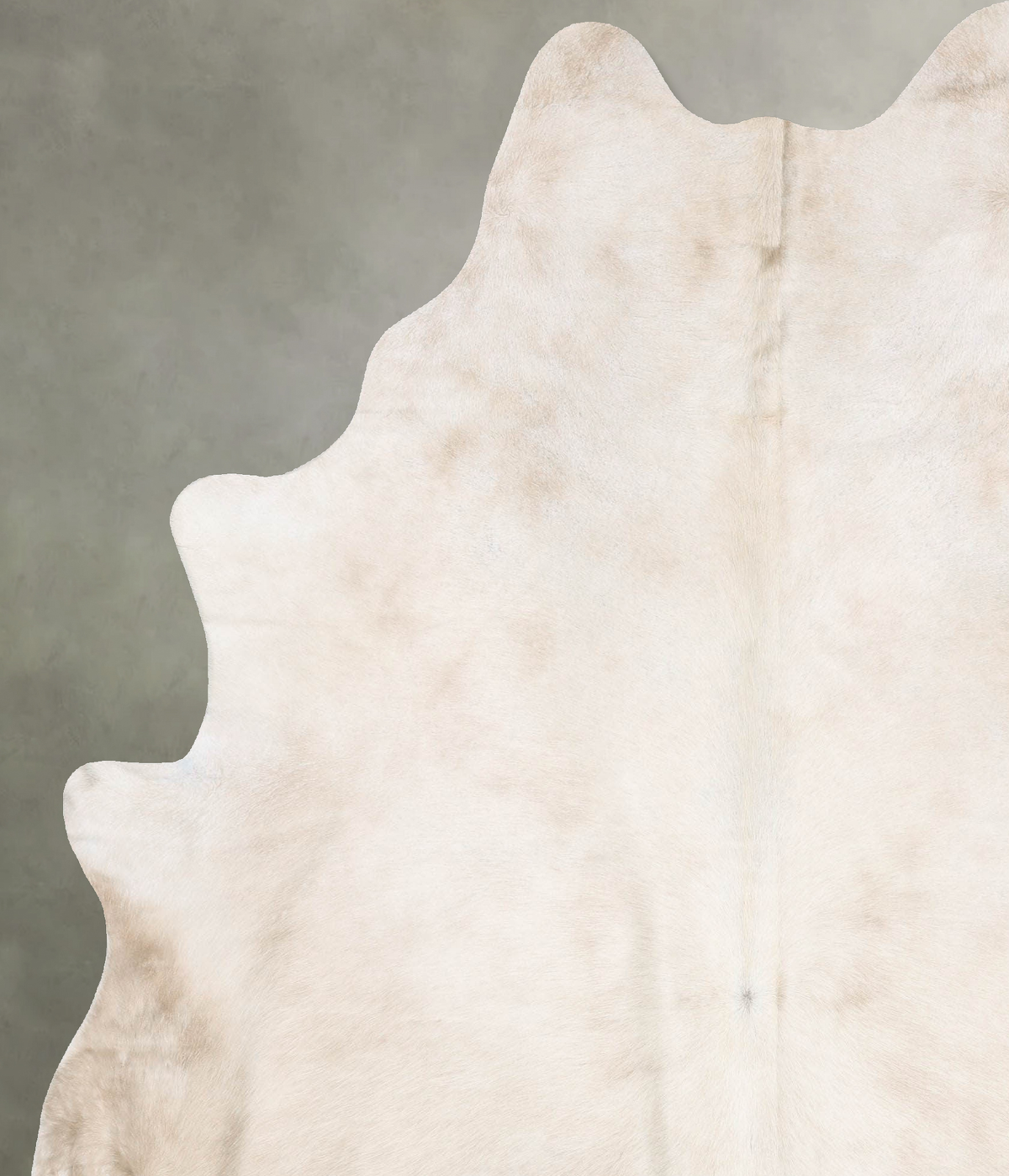 Champagne XX-Large Brazilian Cowhide Rug 8'2"H x 6'7"W #B29738 by Hudson Hides