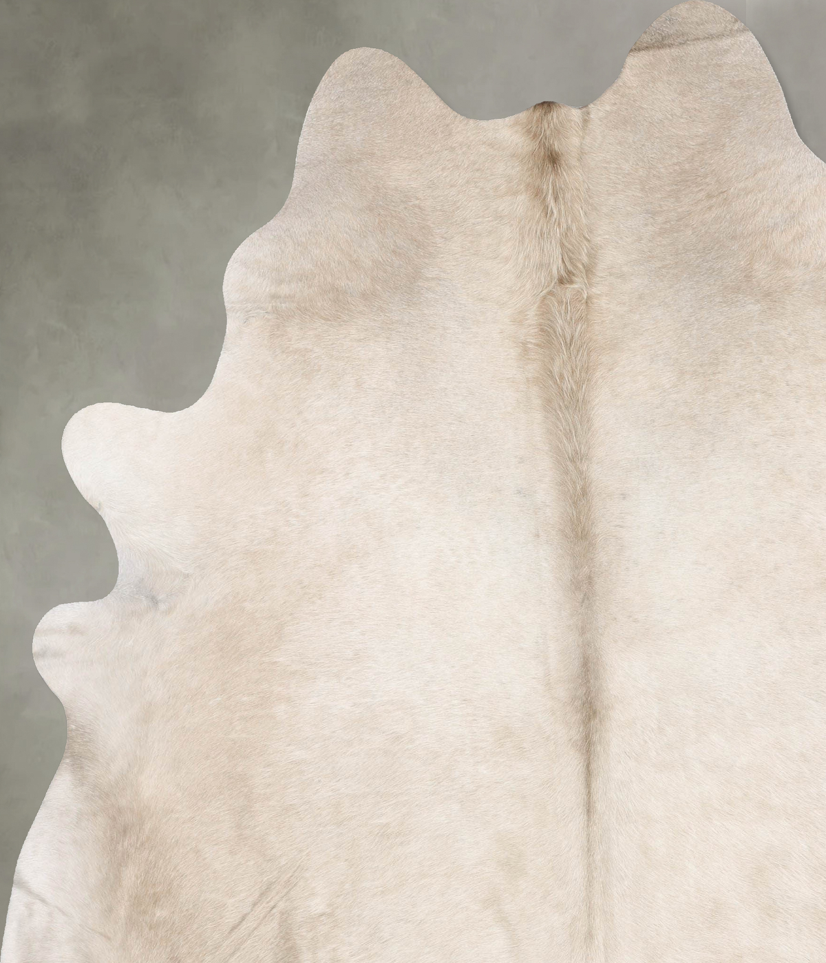 Champagne XX-Large Brazilian Cowhide Rug 8'8"H x 6'10"W #B29741 by Hudson Hides