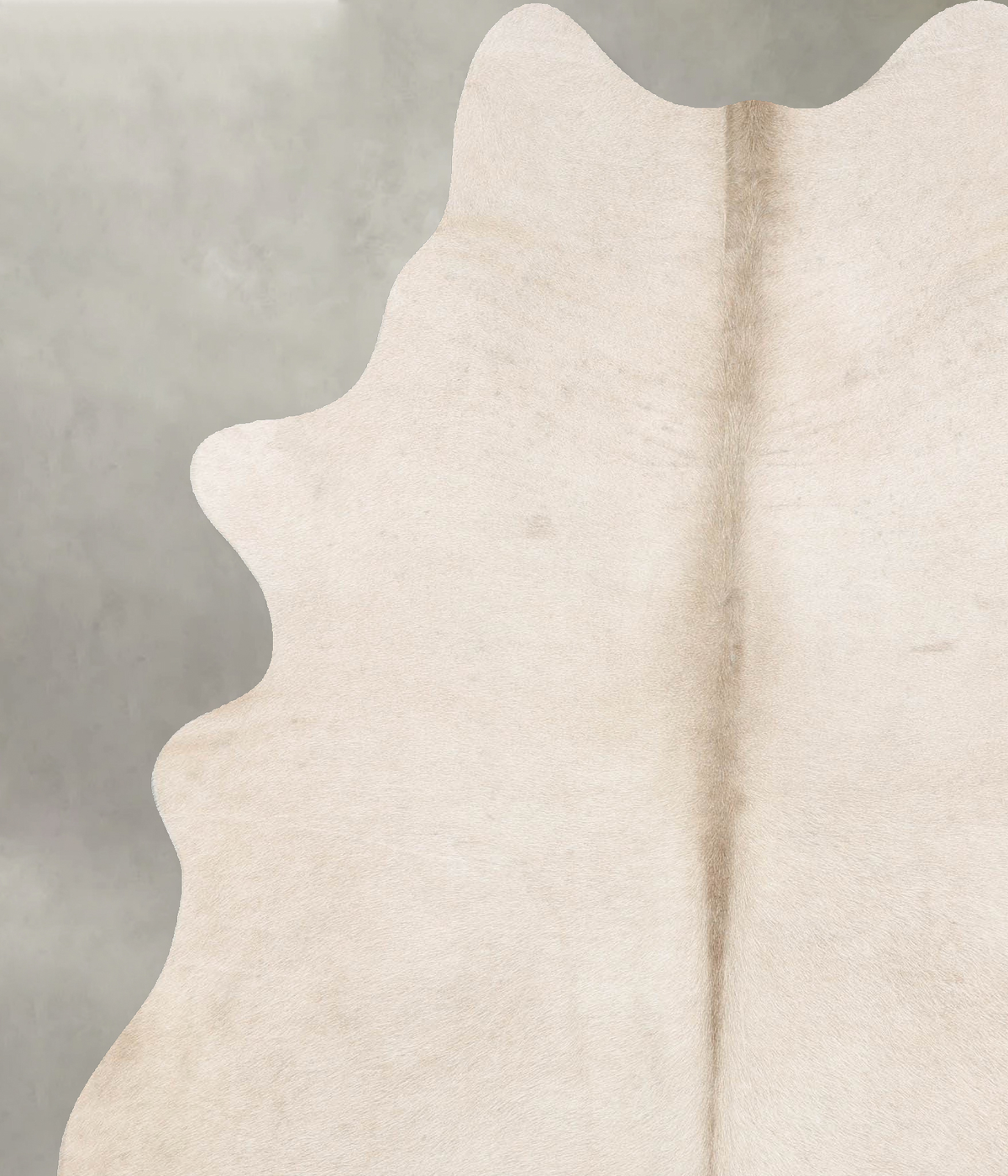 Champagne X-Large Brazilian Cowhide Rug 7'3"H x 5'10"W #B29746 by Hudson Hides