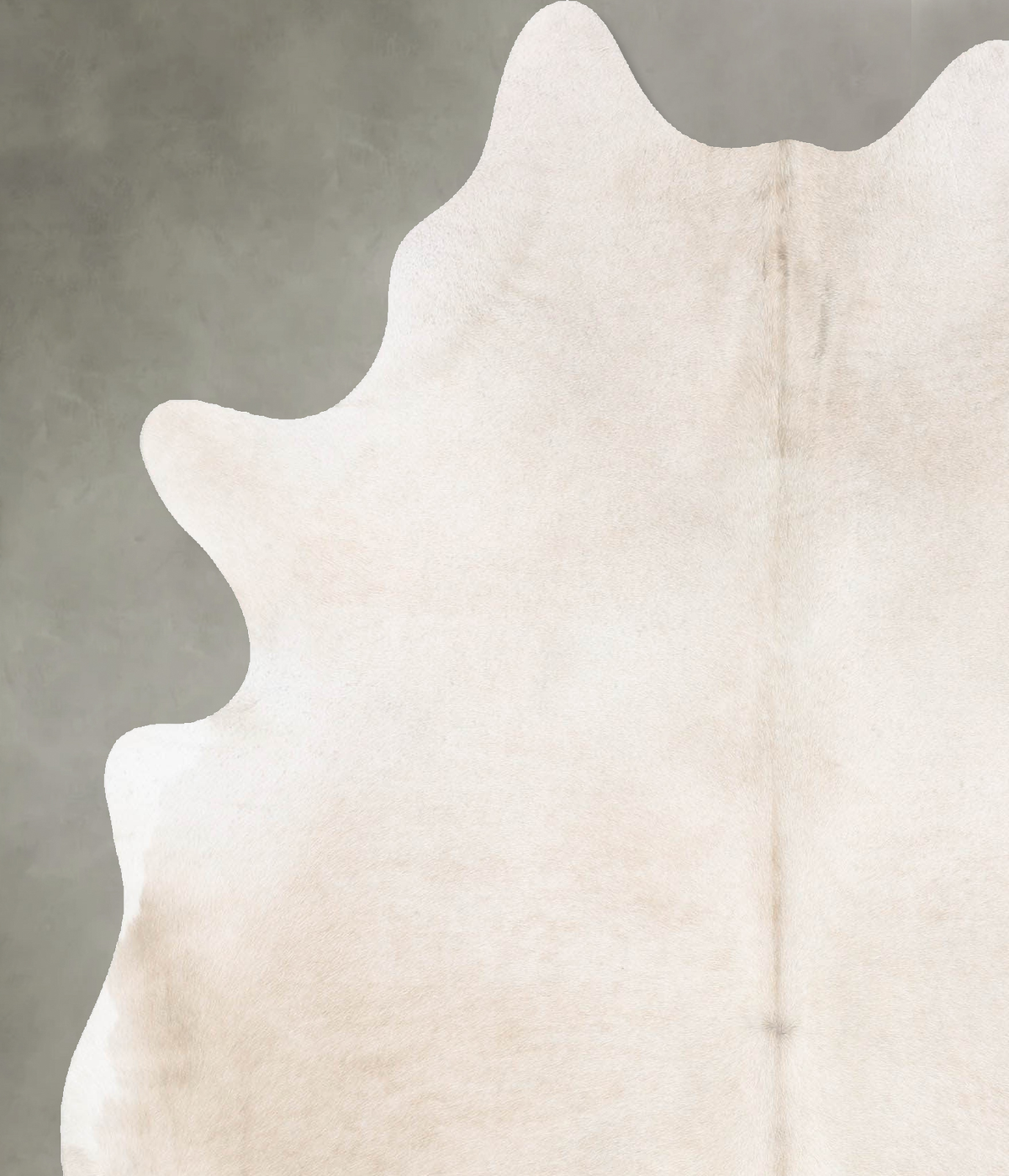 Champagne Large Brazilian Cowhide Rug 6'11"H x 5'8"W #B29747 by Hudson Hides