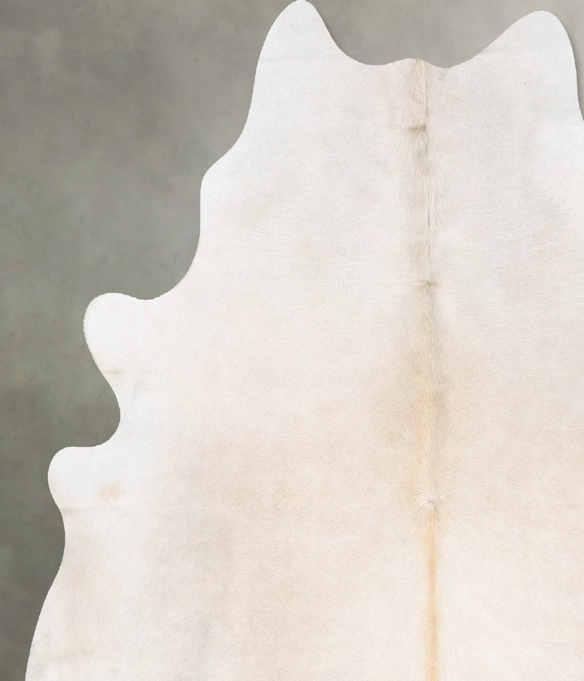 Champagne X-Large Brazilian Cowhide Rug 7'1"H x 5'10"W #B29751 by Hudson Hides