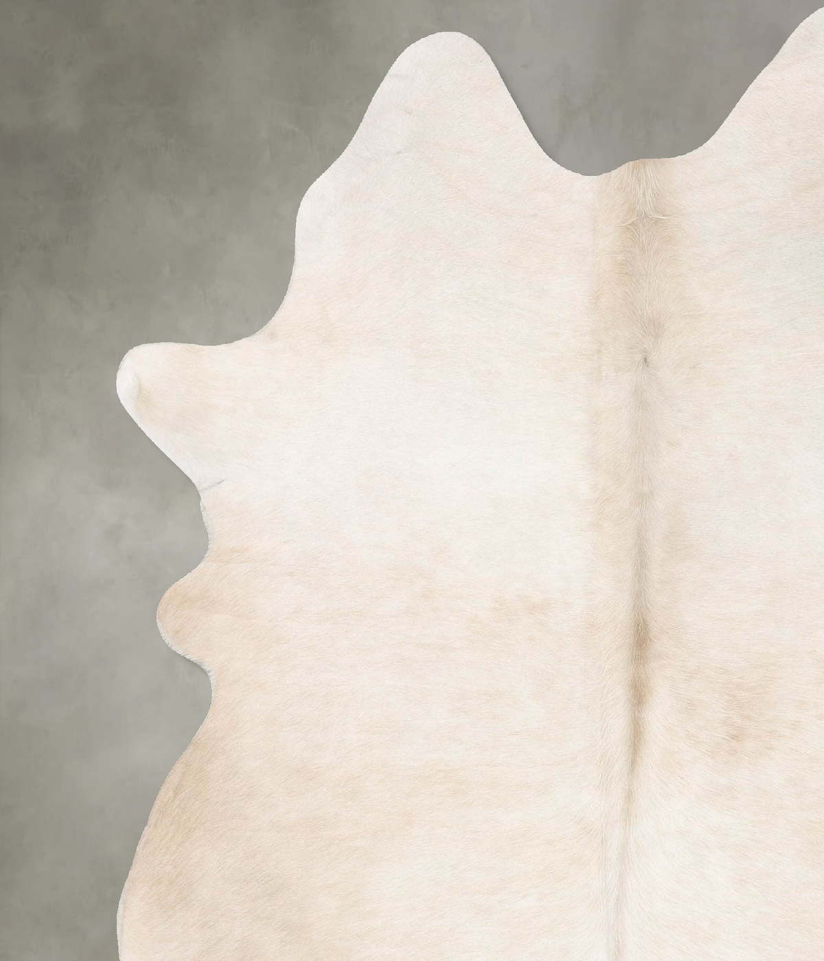 Champagne X-Large Brazilian Cowhide Rug 7'7"H x 6'1"W #B29756 by Hudson Hides