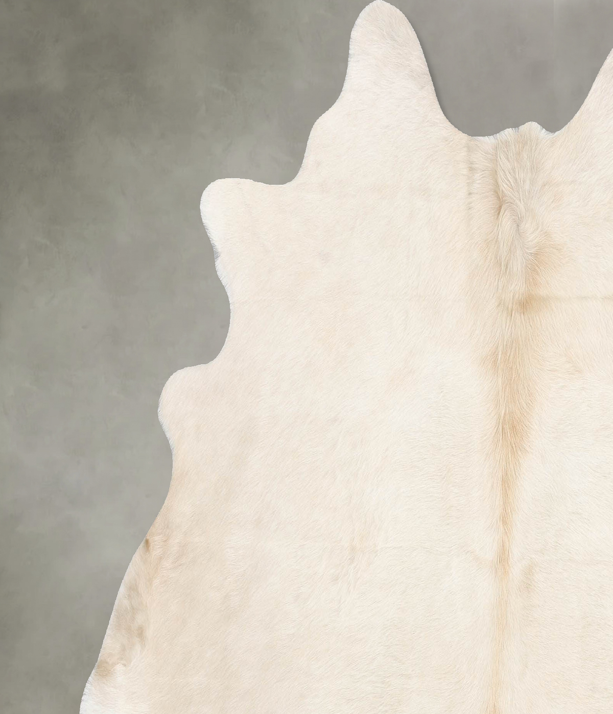 Champagne Large Brazilian Cowhide Rug 5'10"H x 6'3"W #B29758 by Hudson Hides