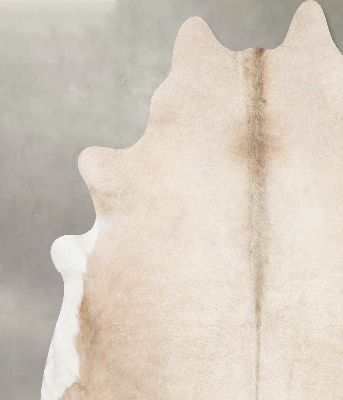Champagne X-Large Brazilian Cowhide Rug 7'2"H x 6'8"W #B29765 by Hudson Hides