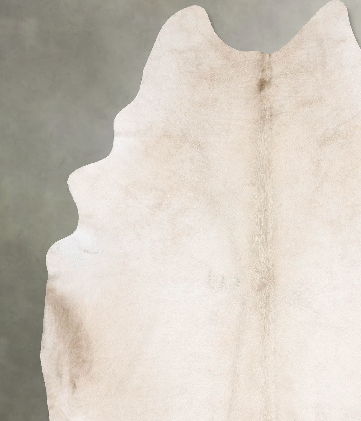 Champagne XX-Large Brazilian Cowhide Rug 8'11"H x 7'3"W #B29775 by Hudson Hides