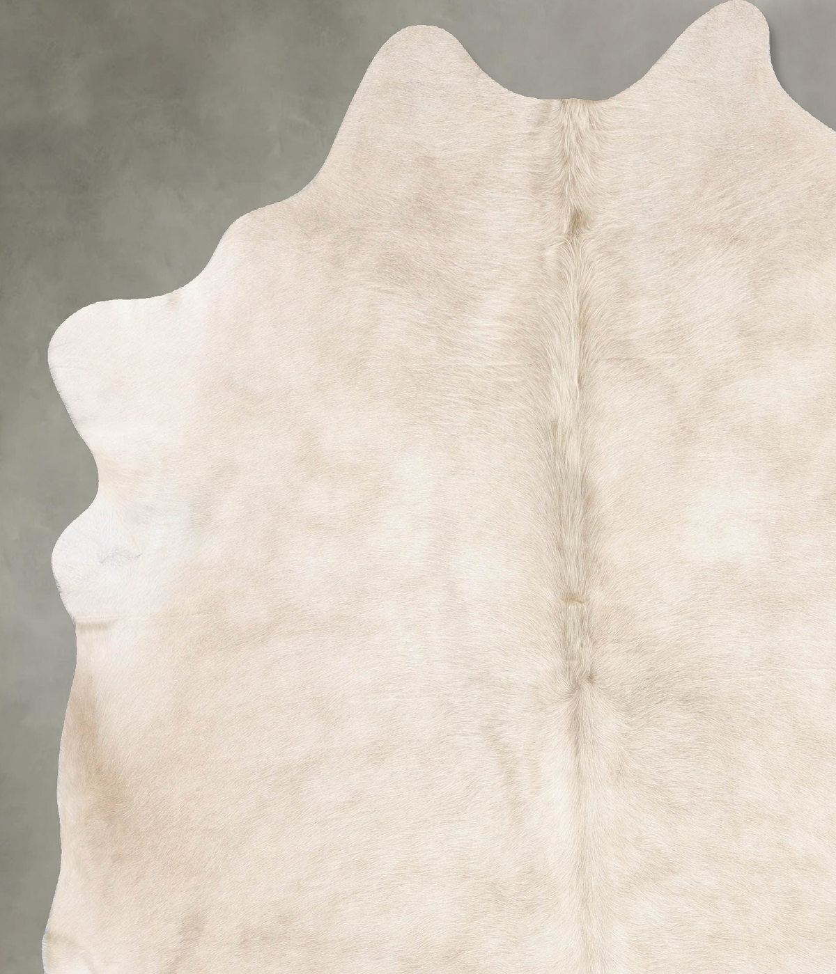 Champagne XX-Large Brazilian Cowhide Rug 7'11"H x 6'10"W #B29776 by Hudson Hides