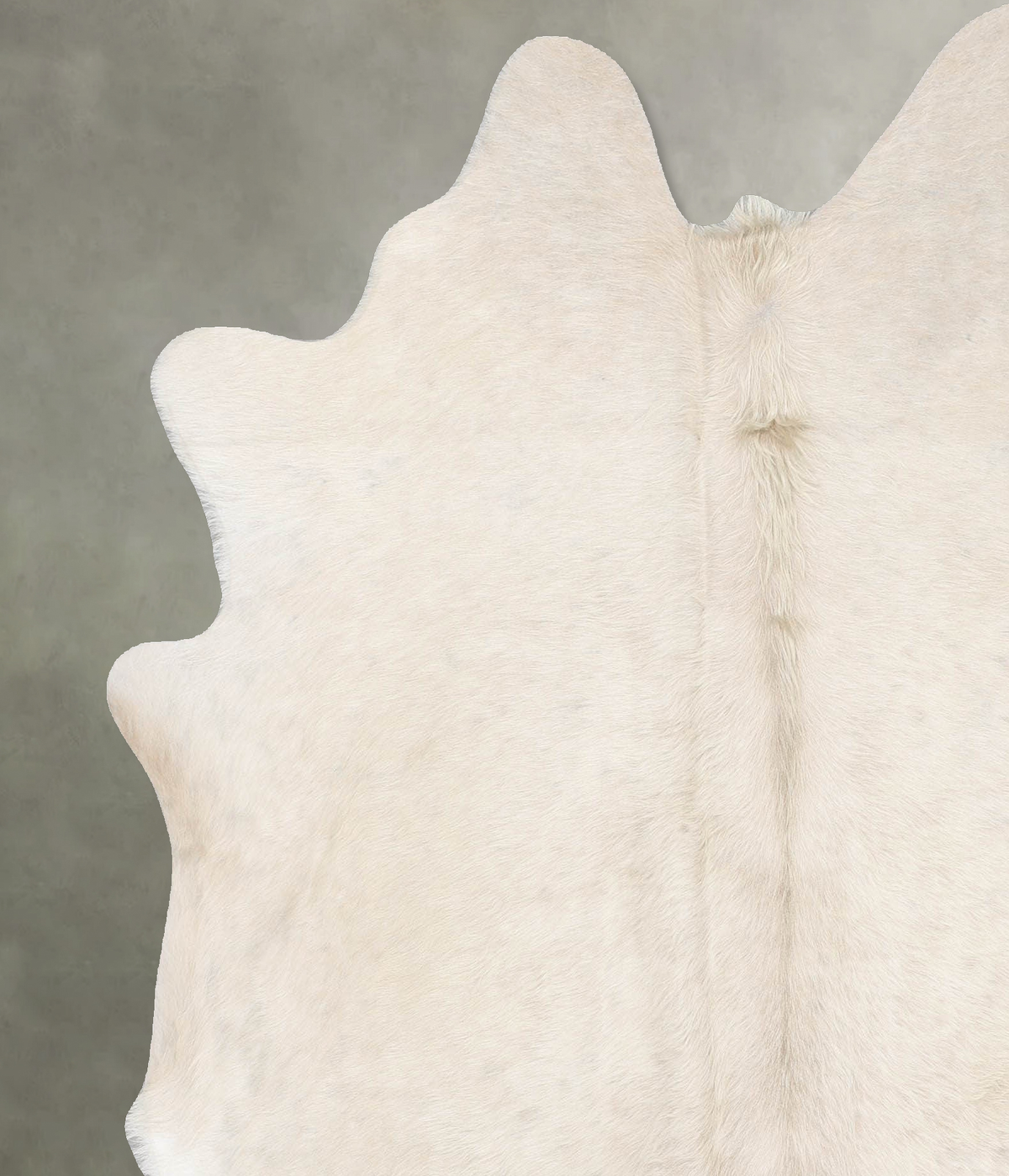 Champagne X-Large Brazilian Cowhide Rug 6'10"H x 6'2"W #B29777 by Hudson Hides