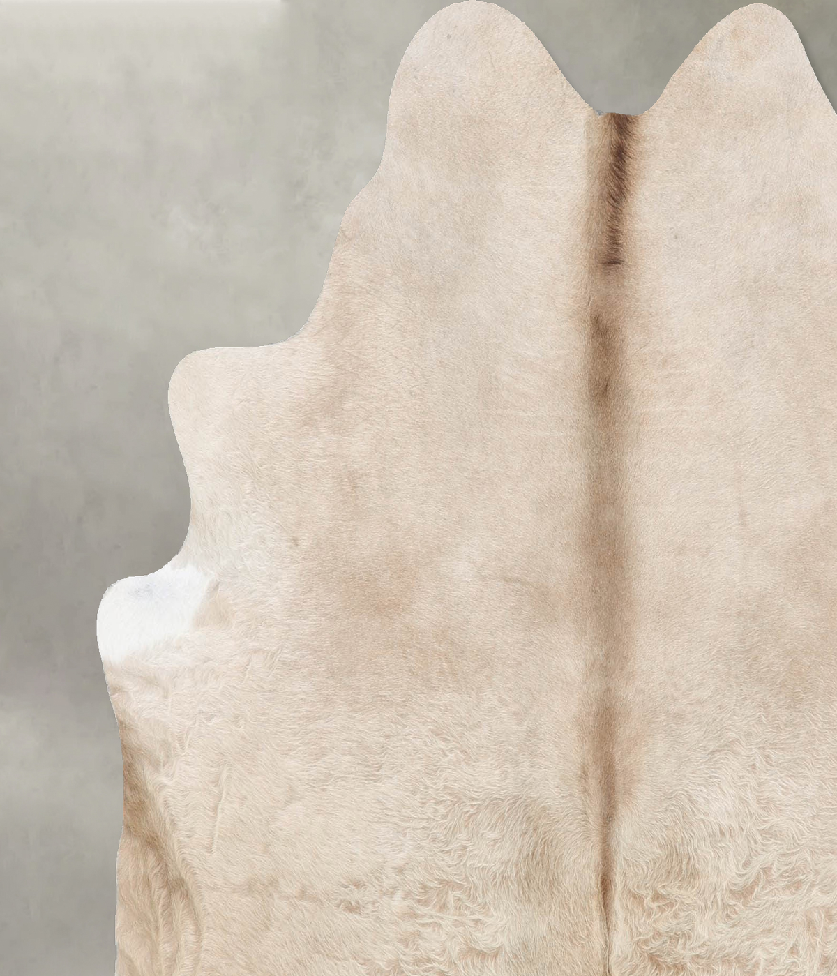 Champagne Large Brazilian Cowhide Rug 6'2"H x 6'2"W #B29779 by Hudson Hides
