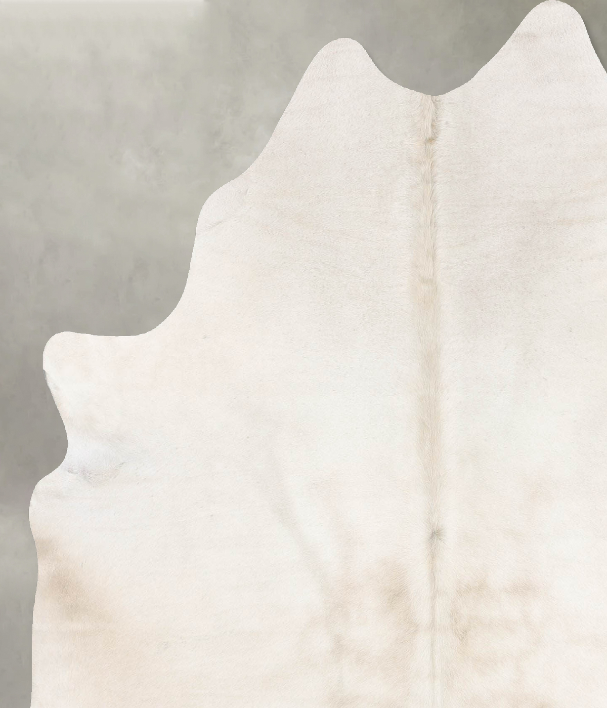 Champagne Large Brazilian Cowhide Rug 6'11"H x 5'8"W #B29780 by Hudson Hides