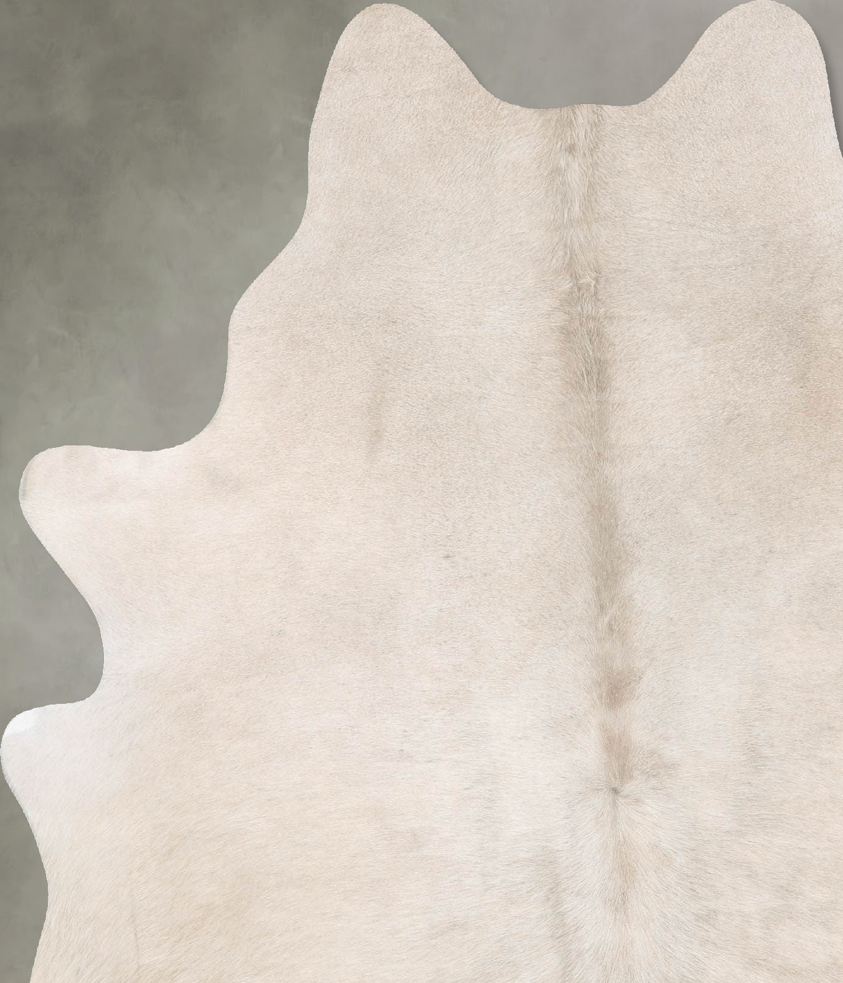 Champagne Large Brazilian Cowhide Rug 6'9"H x 5'6"W #B29784 by Hudson Hides
