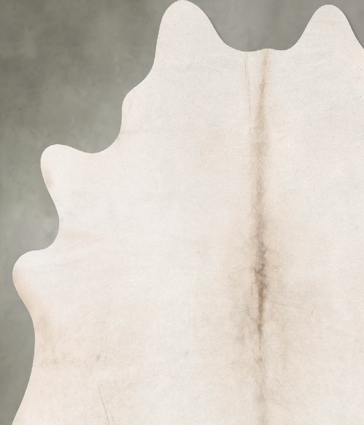Champagne X-Large Brazilian Cowhide Rug 6'9"H x 6'1"W #B29787 by Hudson Hides
