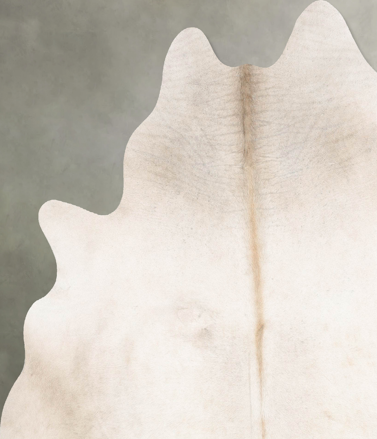 Champagne X-Large Brazilian Cowhide Rug 7'2"H x 6'5"W #B29788 by Hudson Hides
