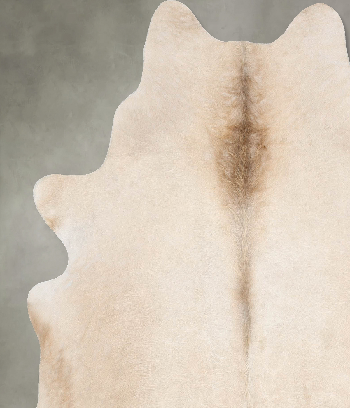 Champagne X-Large Brazilian Cowhide Rug 6'11"H x 6'2"W #B29789 by Hudson Hides