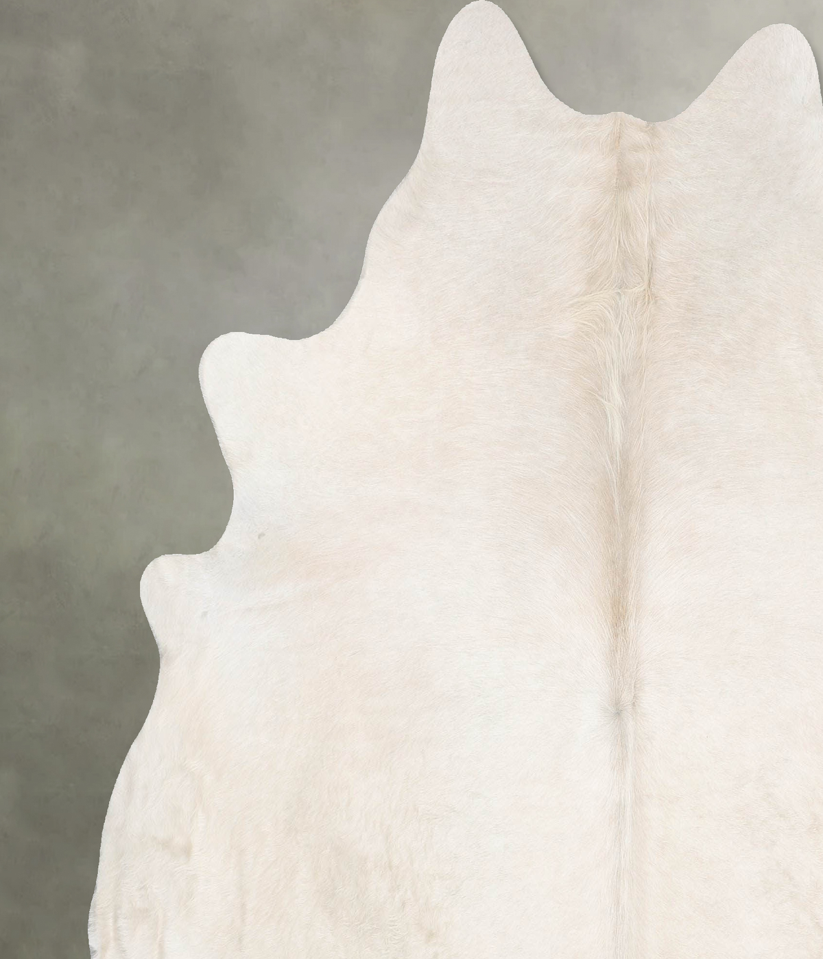 Champagne X-Large Brazilian Cowhide Rug 6'10"H x 6'8"W #B29795 by Hudson Hides