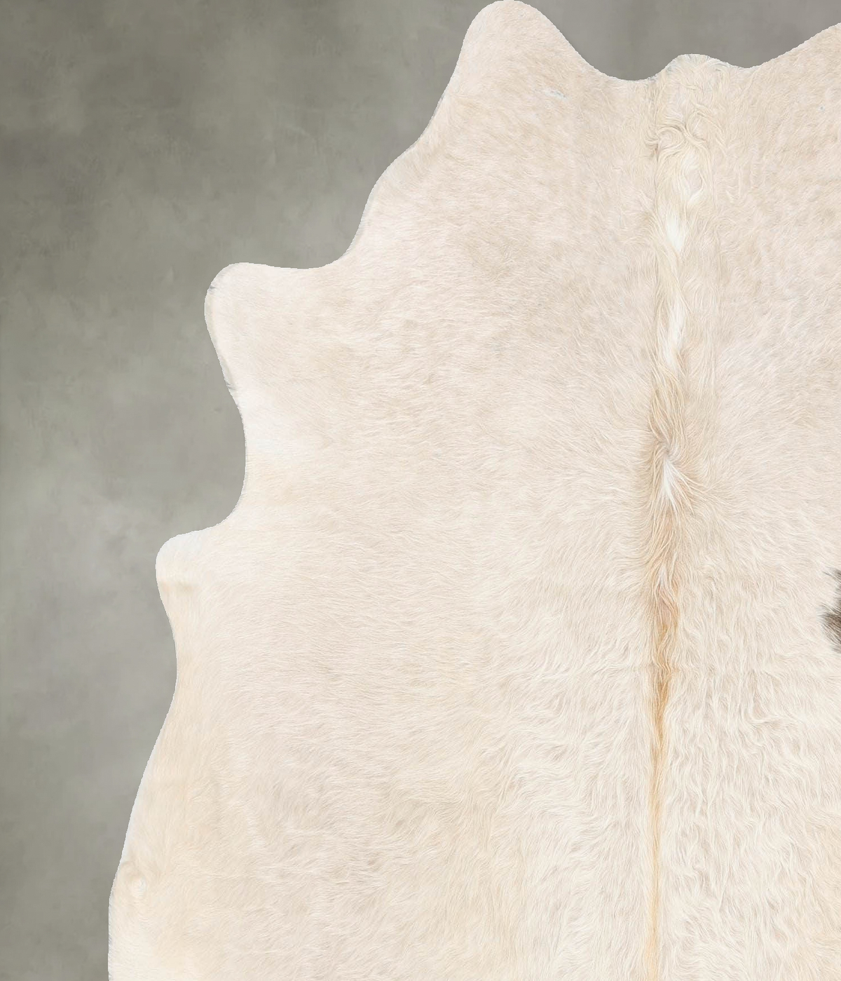 Champagne Large Brazilian Cowhide Rug 6'4"H x 5'10"W #B29799 by Hudson Hides