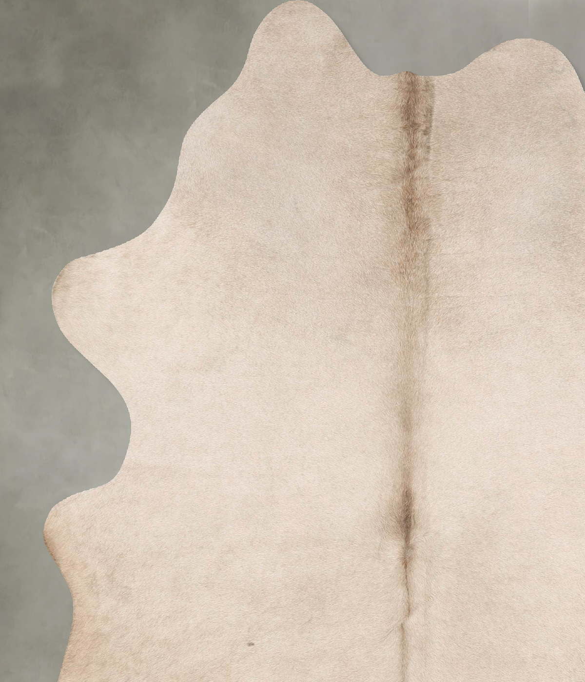 Champagne Large Brazilian Cowhide Rug 7'2"H x 5'6"W #B29800 by Hudson Hides