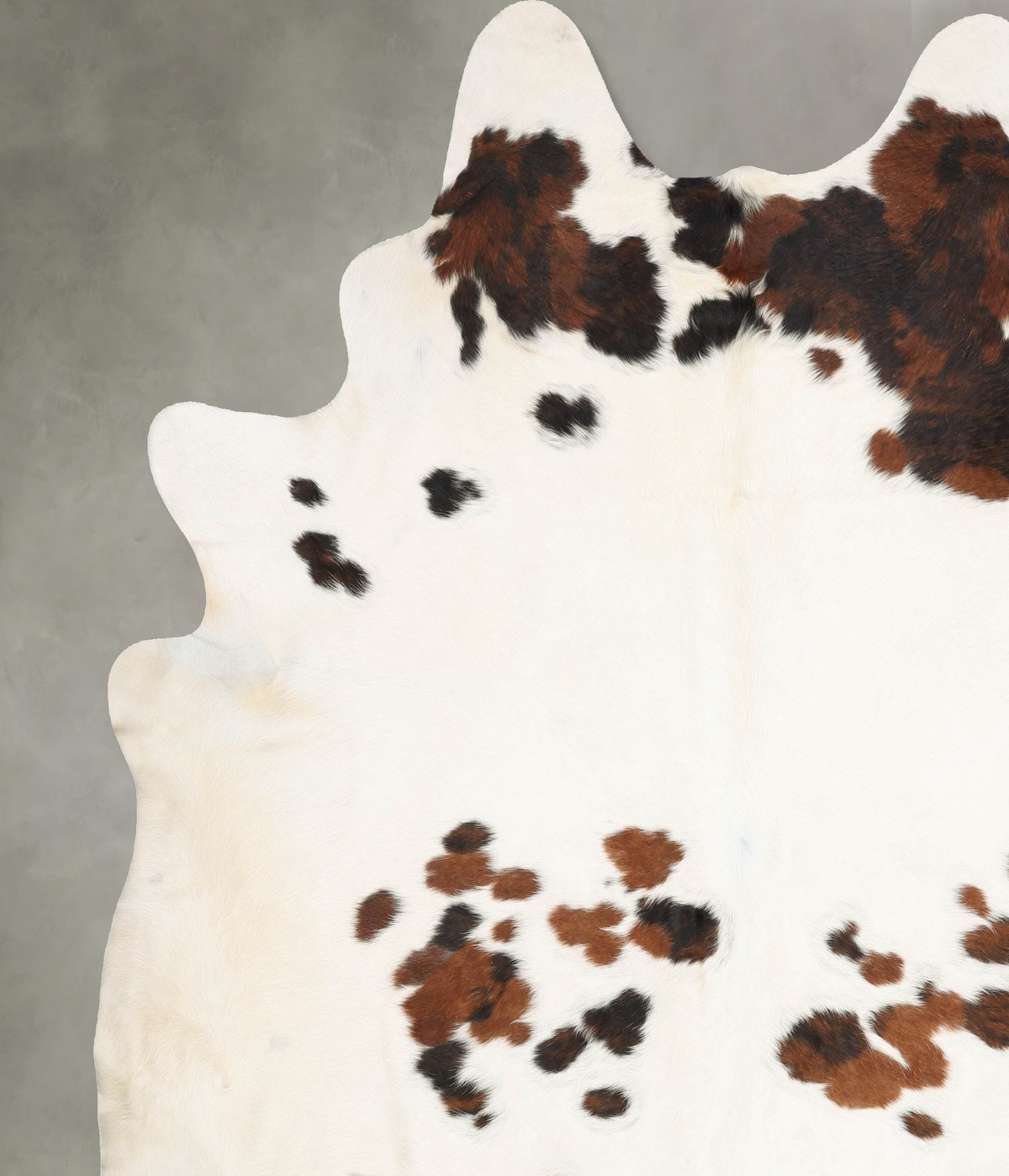 Tricolor Cowhide Rug #B29802