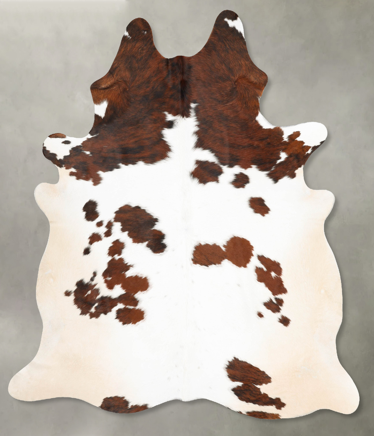 Tricolor Cowhide Rug #B29803
