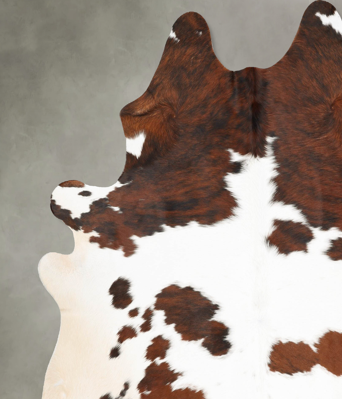 Tricolor XX-Large Brazilian Cowhide Rug 7'11"H x 6'4"W #B29803 by Hudson Hides
